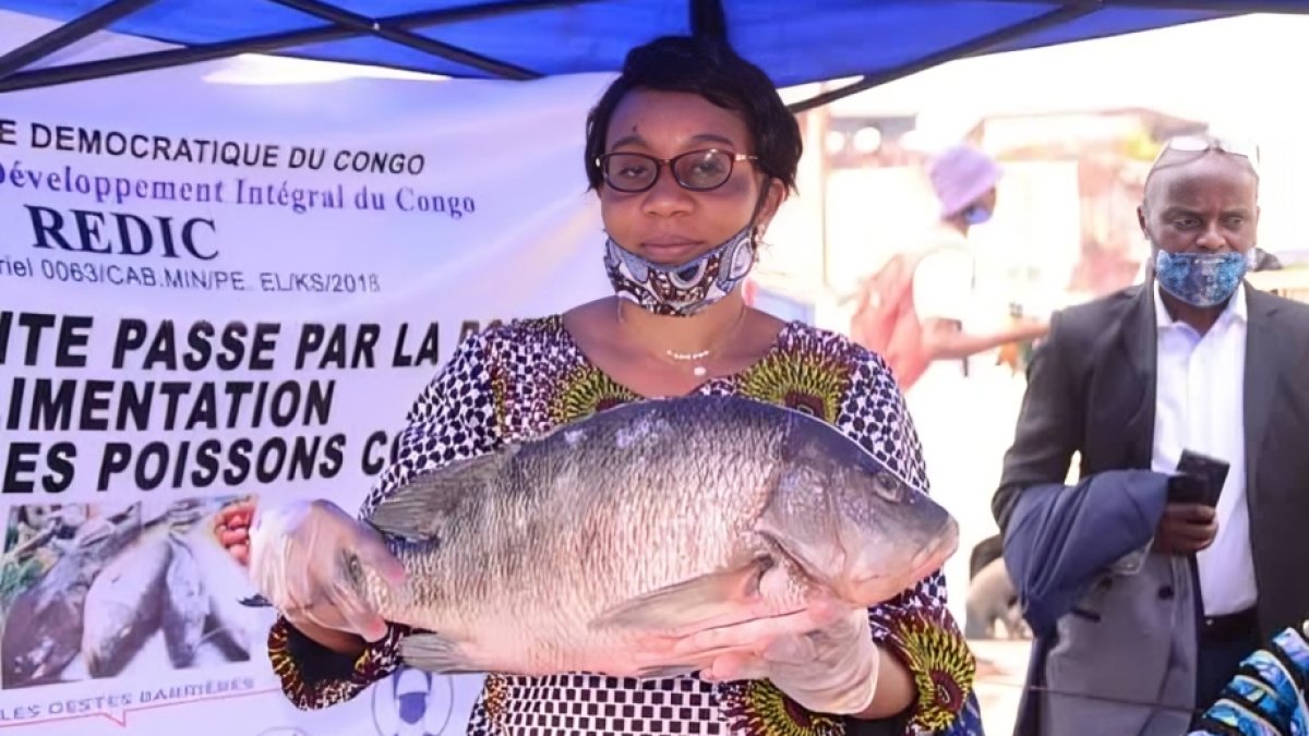 Politique — Des femmes pêcheuses encouragées à s'engager en politique en RDC